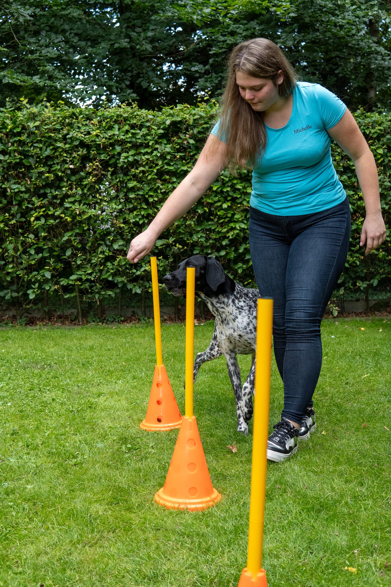 Physiotherapeutische Behandlung eines Hundes